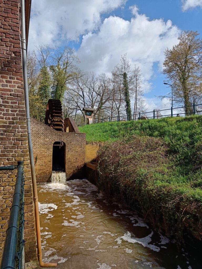 IMG20230411115513