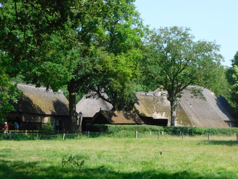 DSCN4477