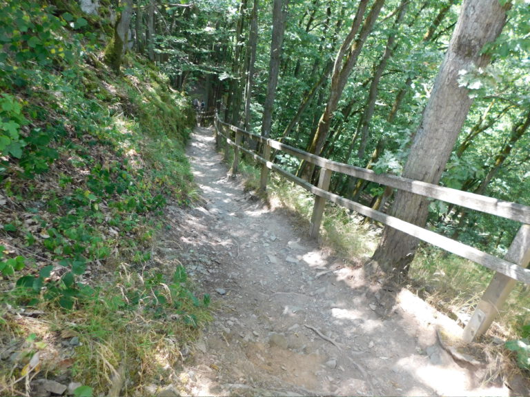 DSCN4561
