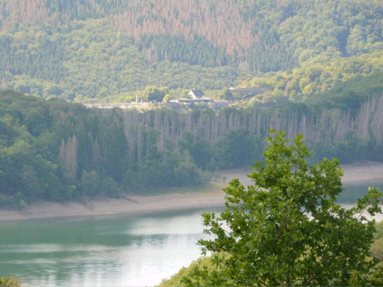 DSCN4574