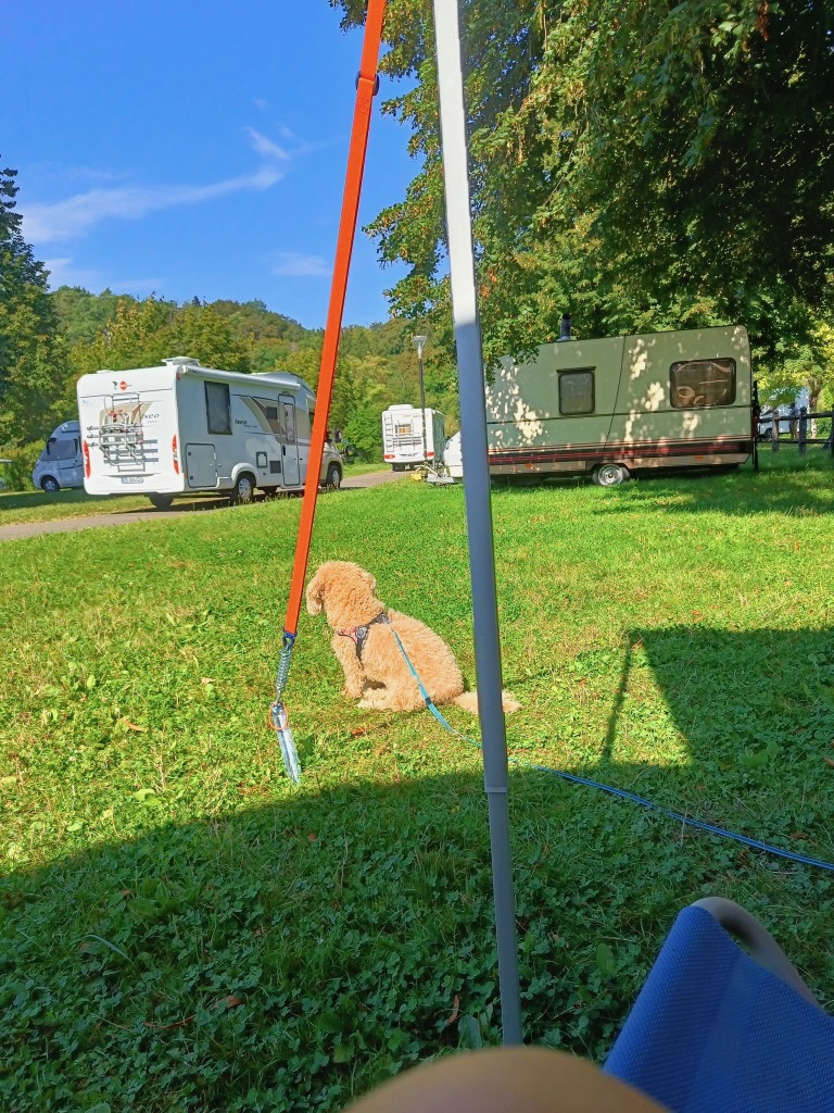 IMG20230816162339