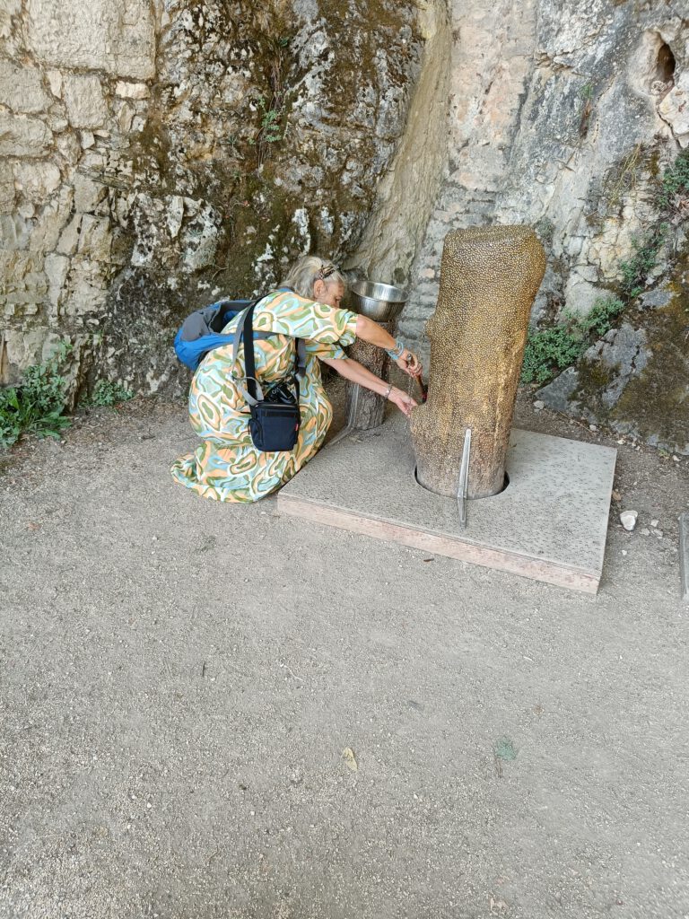 IMG20230830111836