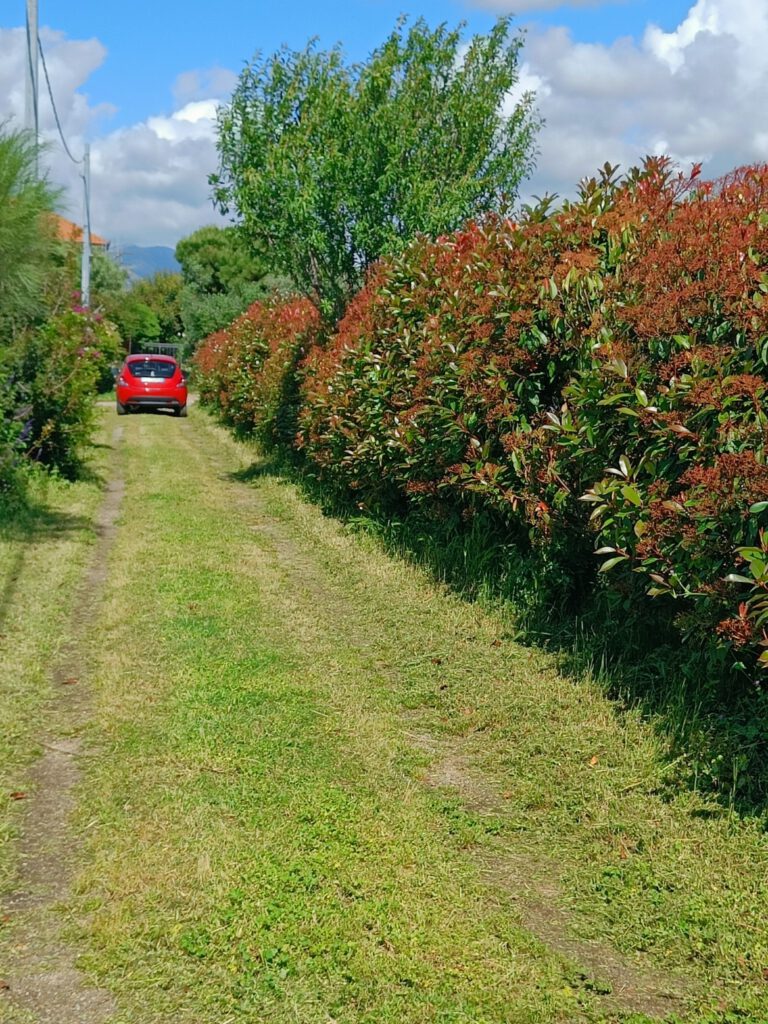 IMG20240517103235