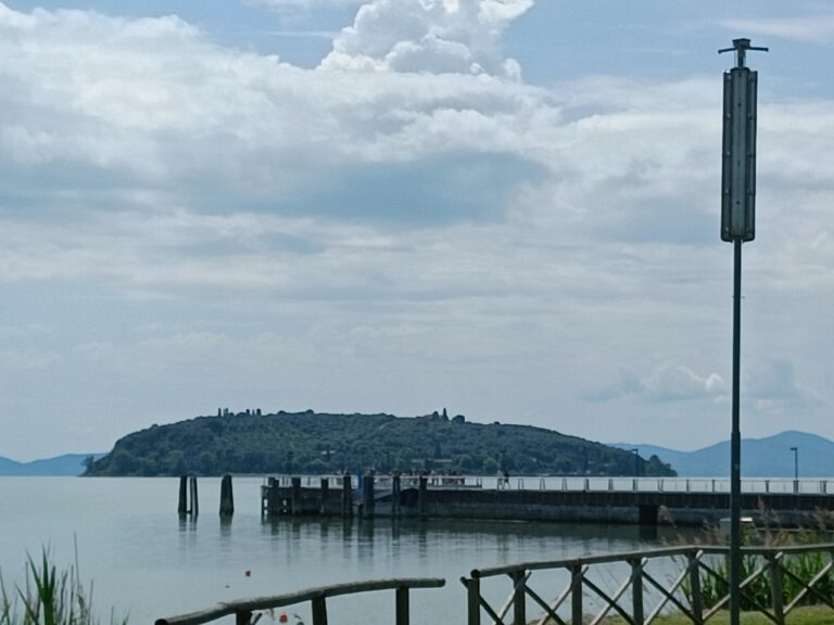 IMG20240528112436