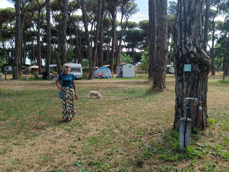 IMG20240616155455