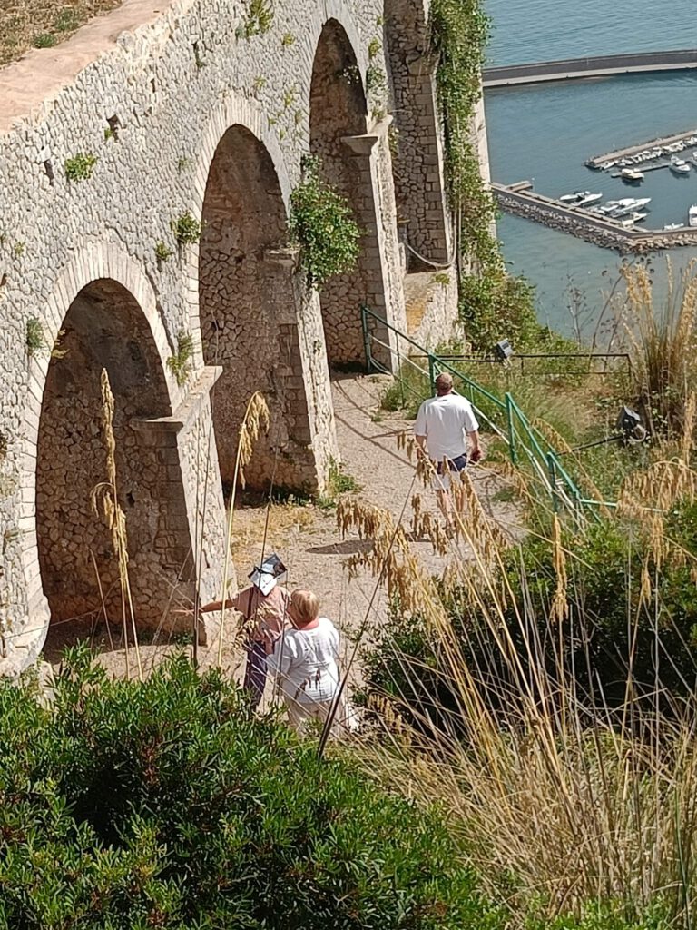 IMG20240618162400