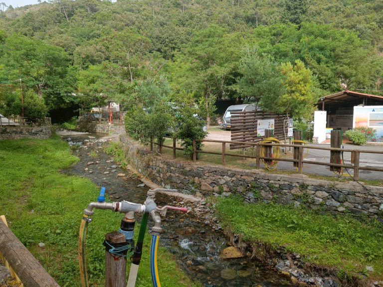 IMG20240620181336