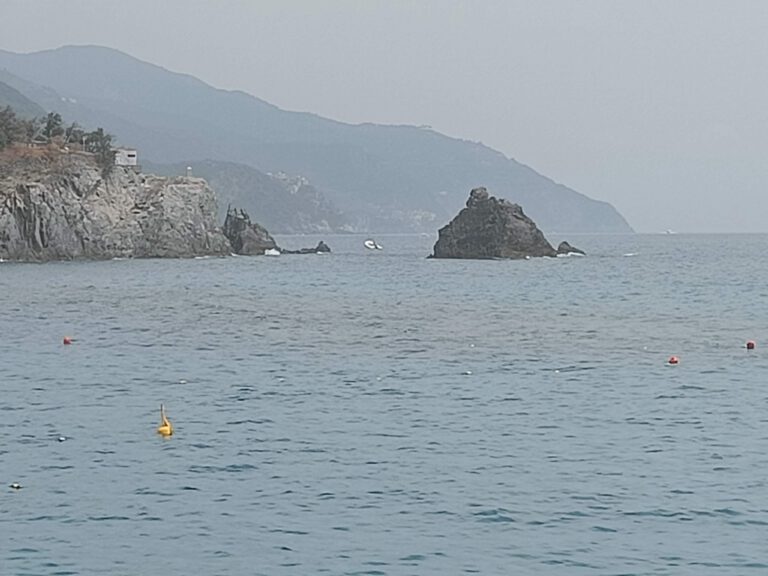 IMG20240621150118