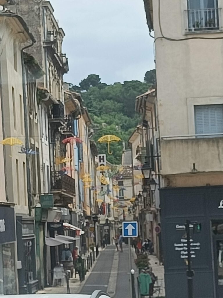 IMG20240625145824