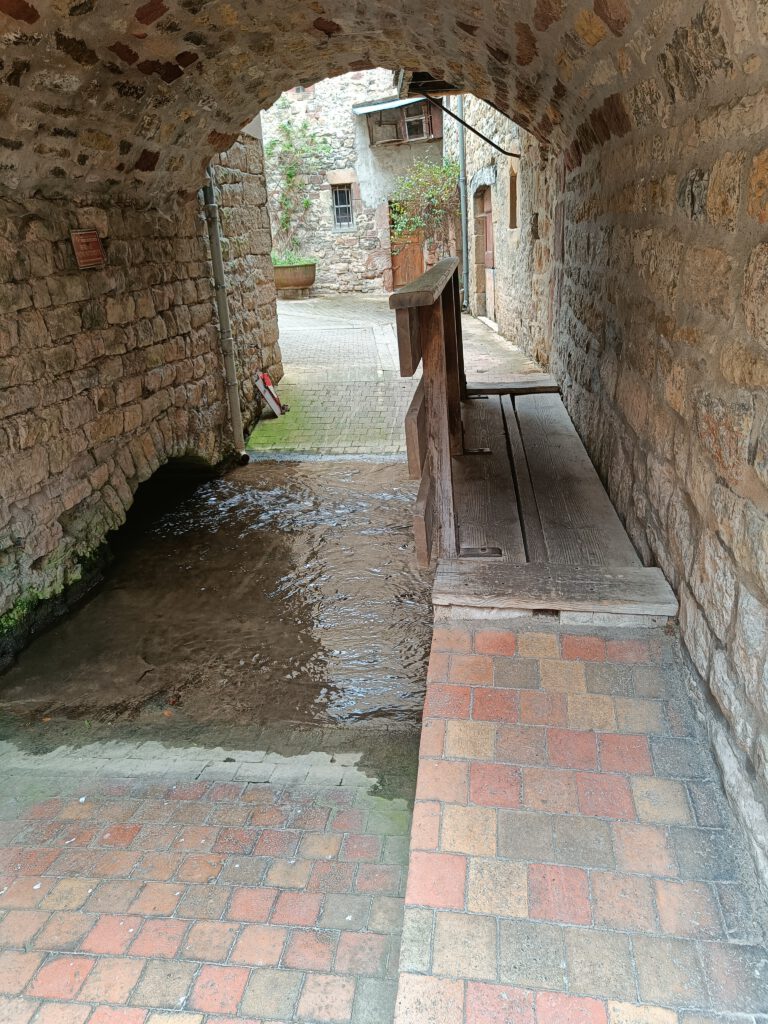 IMG20240630171111