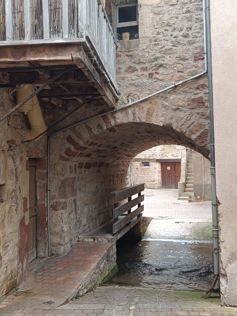 IMG20240701110653