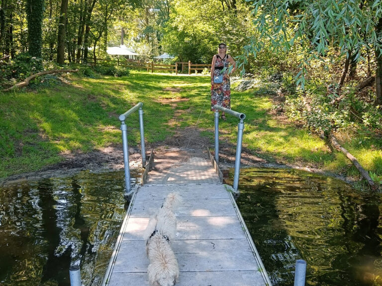 IMG20240729153947