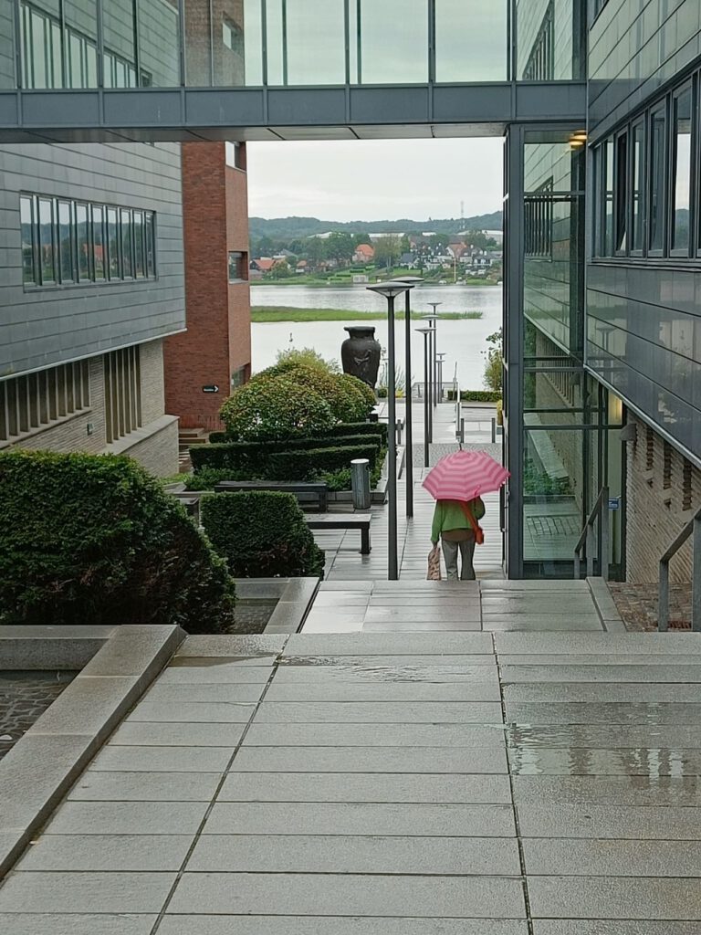 IMG20240808104843
