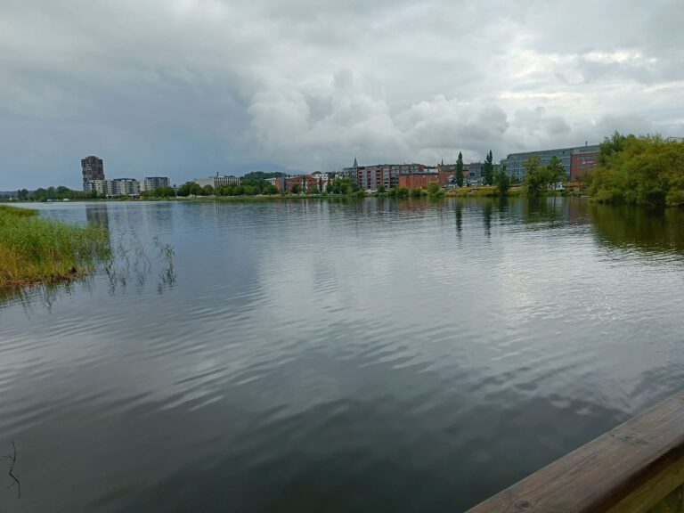 IMG20240808105752