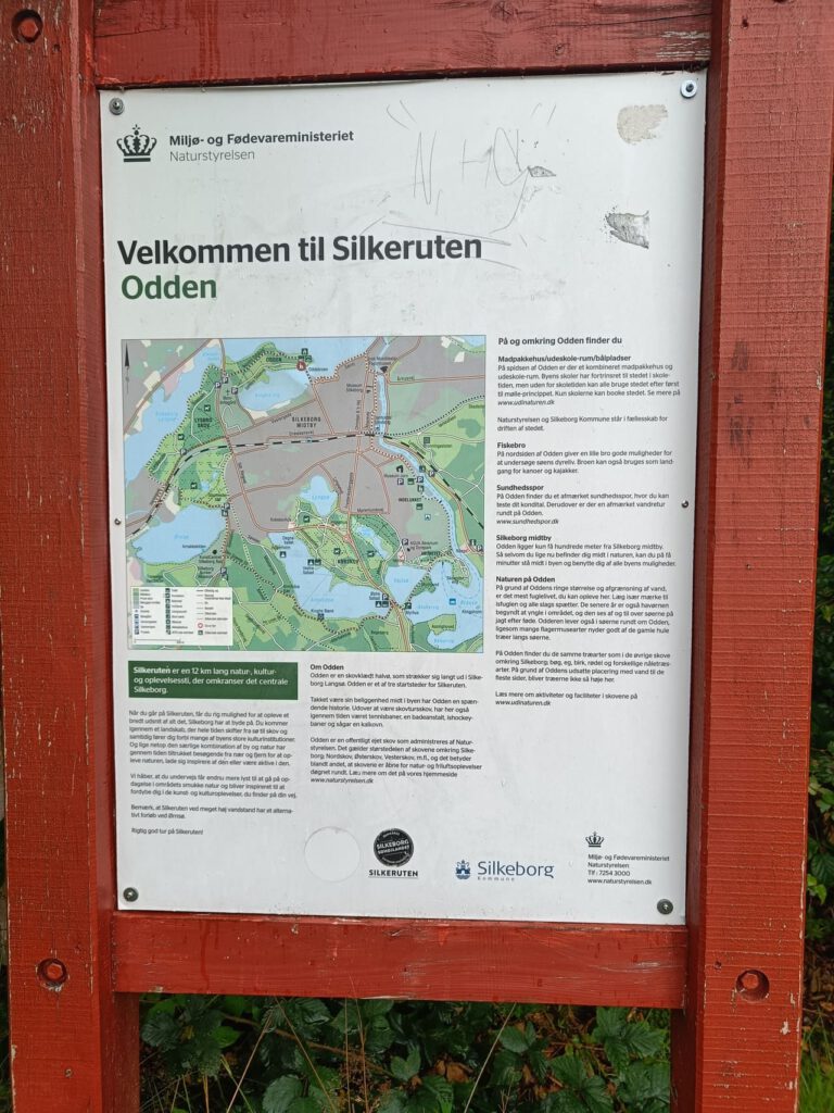 IMG20240808105907