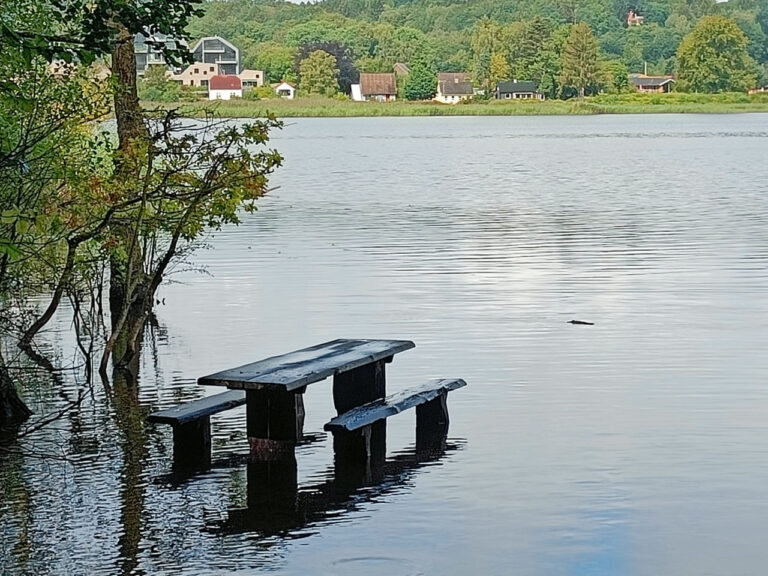 IMG20240808114057