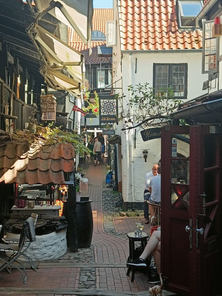 IMG20240812133303