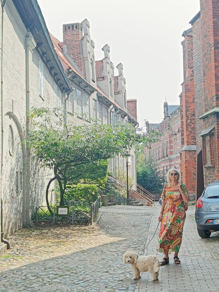 IMG20240814111848
