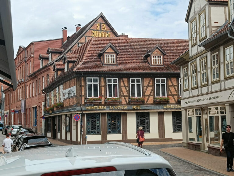 IMG20240816124611