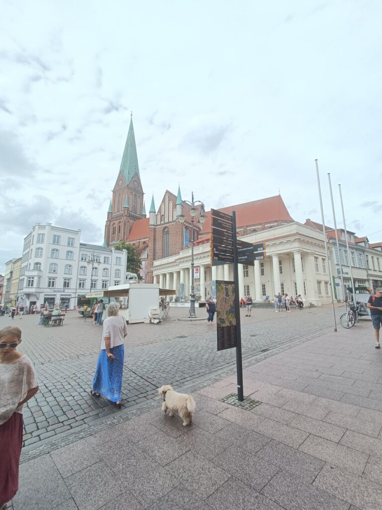 IMG20240816125041