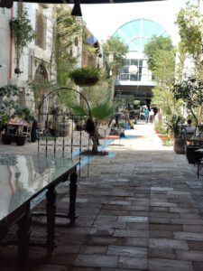 IMG_20250222_121720