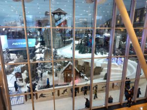 IMG_20250222_151657