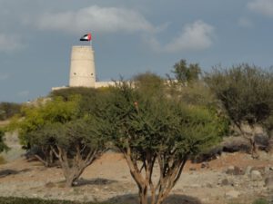IMG_20250223_153621