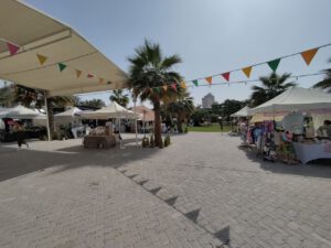 IMG_20250301_112727