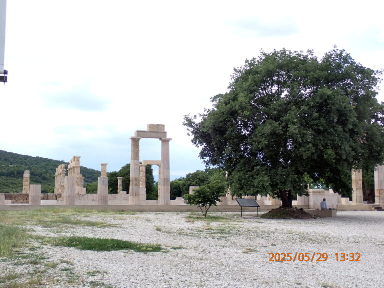 P5290805