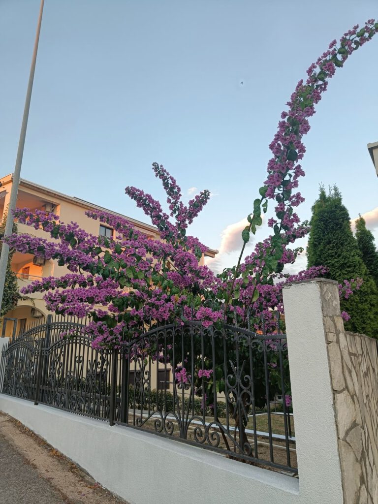 IMG20250630200943