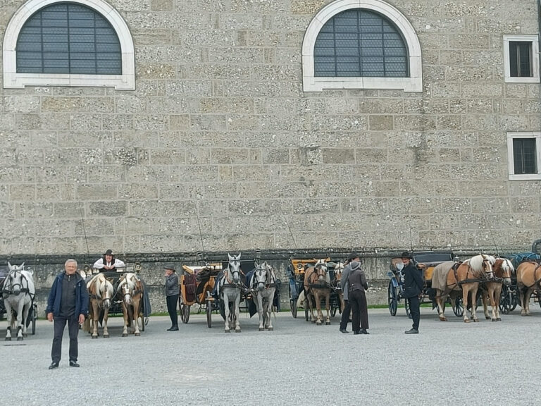 IMG20250709112350