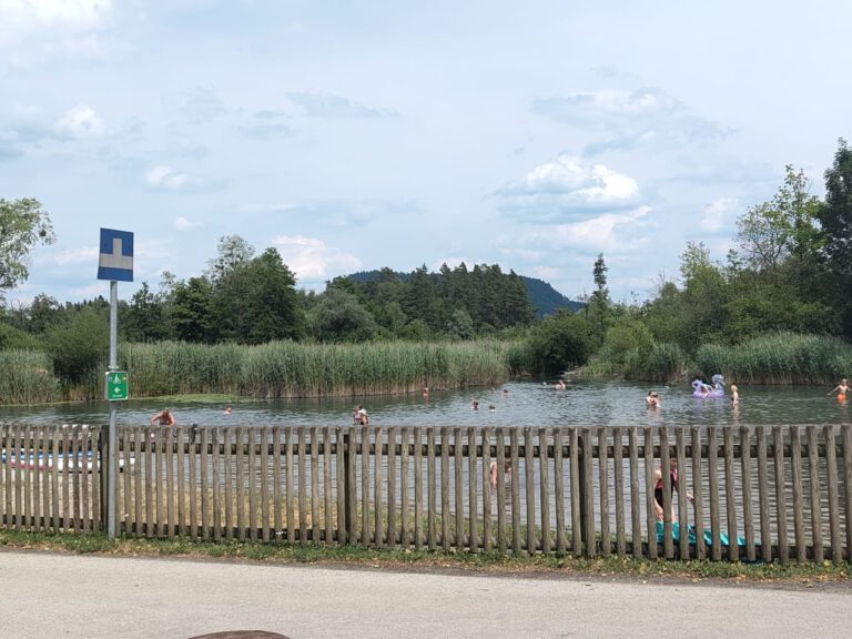 IMG_20250706_141452