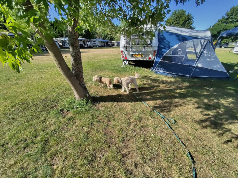 IMG_20250707_173818