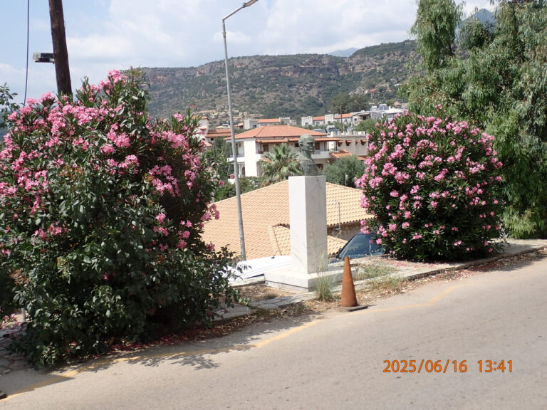 P6161130