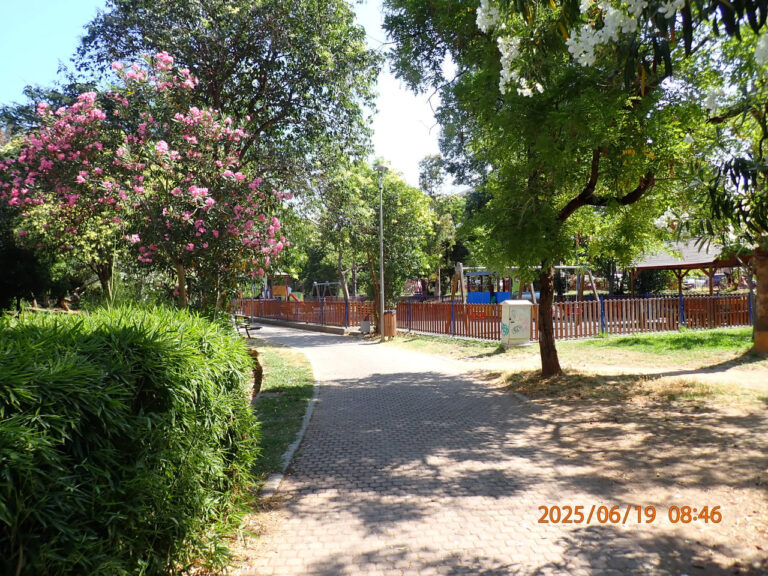 P6191149