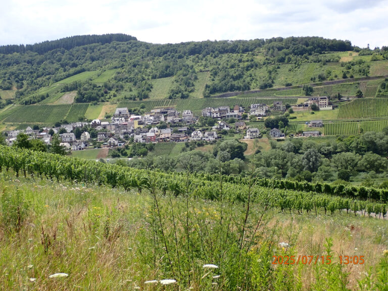 P7151302