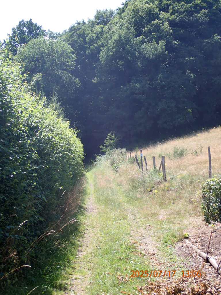 P7171336