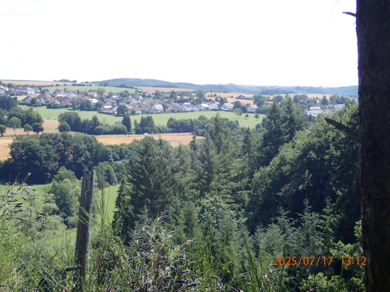 P7171338